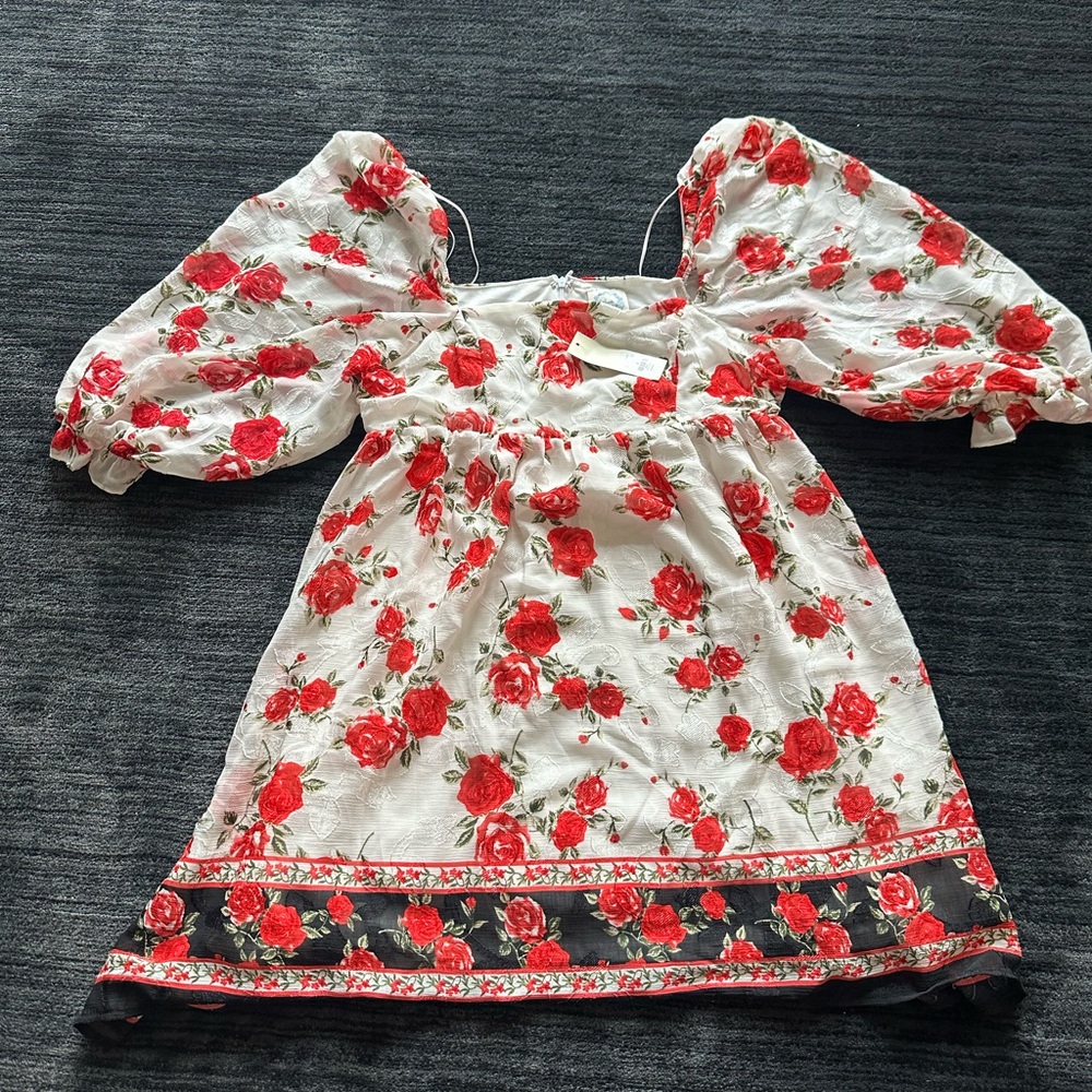Francesca's Collections Red Floral Dress
